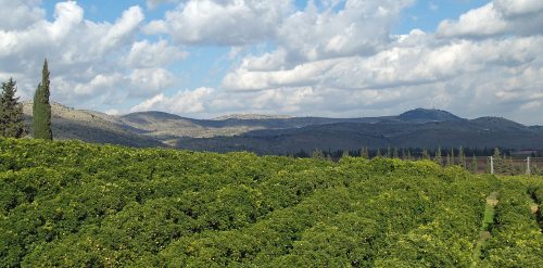 photo by: David Shankbone